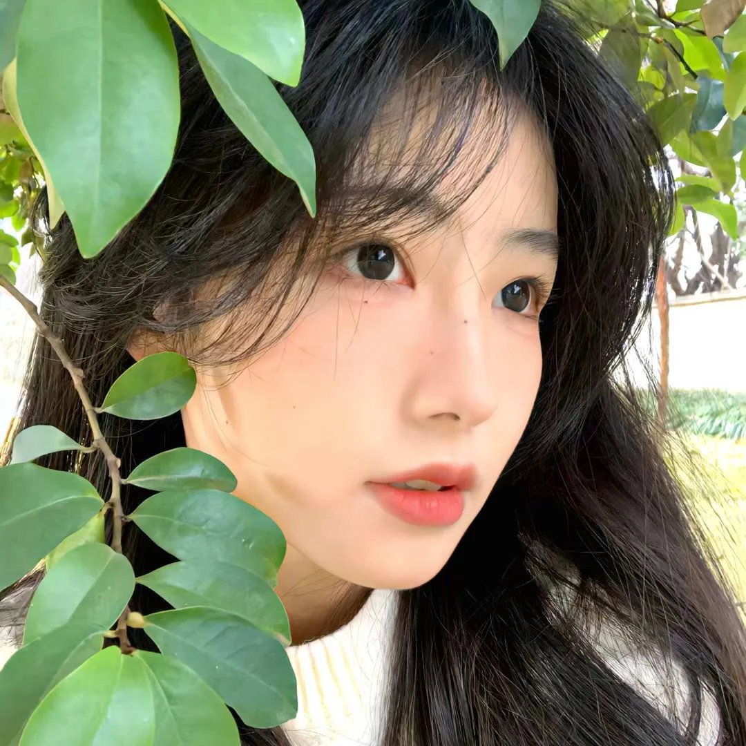 镰仓殿的13人