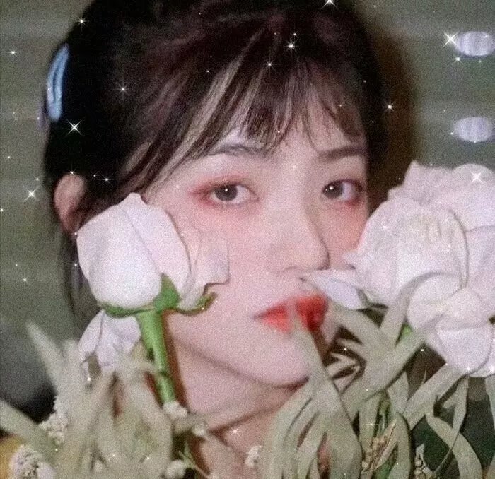 朝华